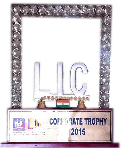 Corporate Trophy