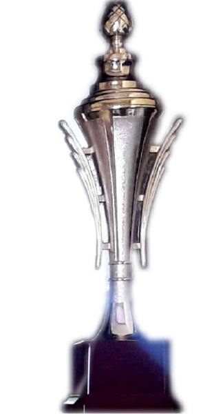 Achievers Award